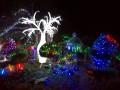 0103-2109 Hunter Valley Gardens Night (1070311)